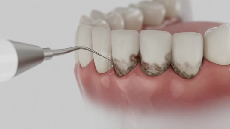 Reliable Dental contractor in Terre du Lac, MO by Dentist Open Now